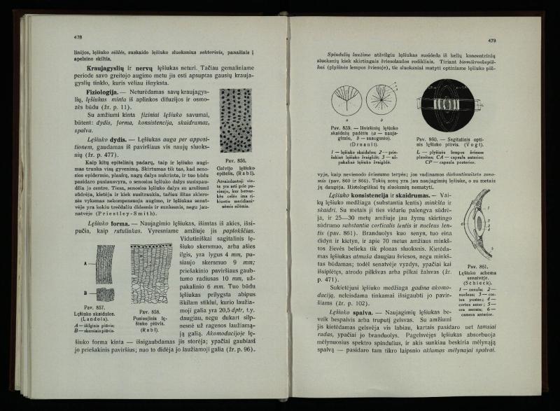 Akių ligų vadovas / Petras Avižonis. – Kaunas: Medicinos fakultetao leidinys, 1940. – VIII, 841, [2] p., 18 iliustr. lap.
