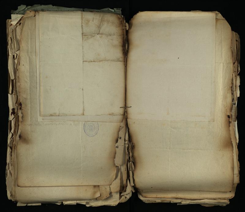 Pušaloto Romos katalikų parapijos bažnyčios 1884–1900 metų gaunamų raštų knyga