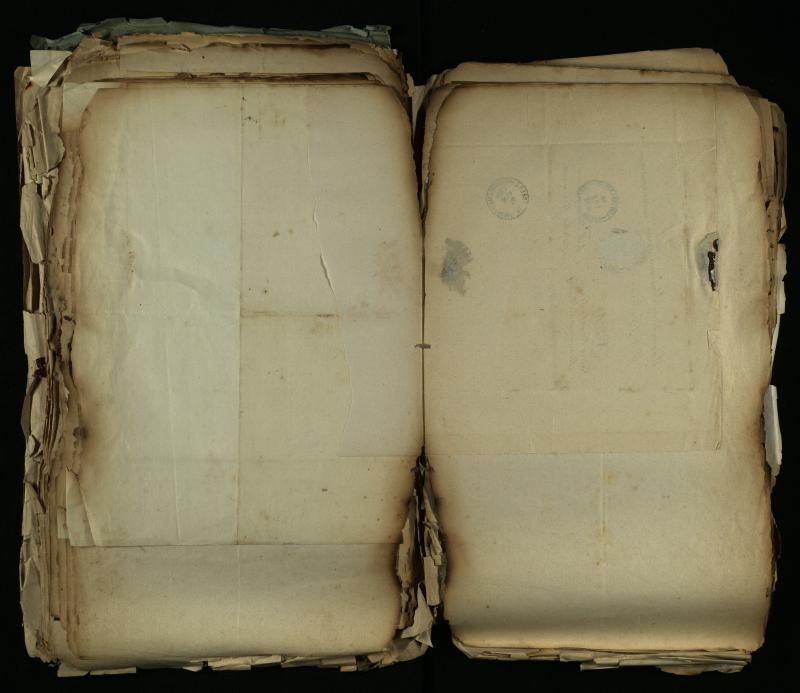 Pušaloto Romos katalikų parapijos bažnyčios 1884–1900 metų gaunamų raštų knyga