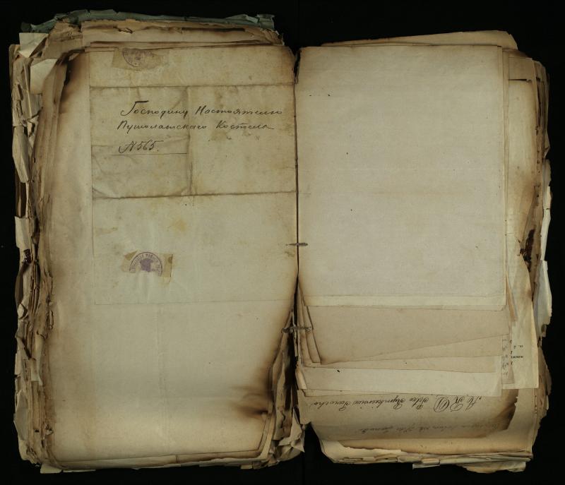 Pušaloto Romos katalikų parapijos bažnyčios 1884–1900 metų gaunamų raštų knyga