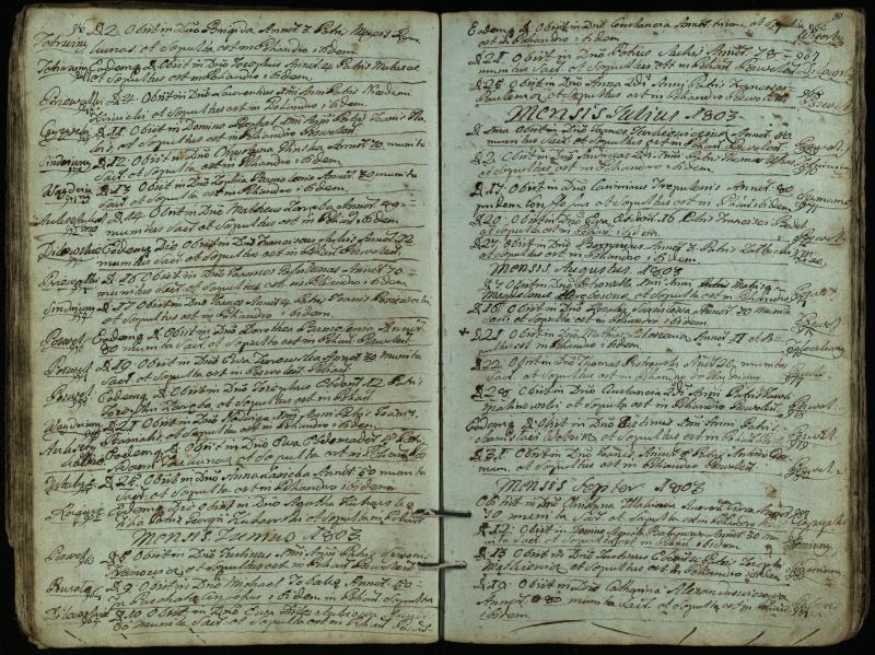 Pasvalio Romos katalikų parapijos bažnyčios 1794–1819 metų mirties metrikų knyga