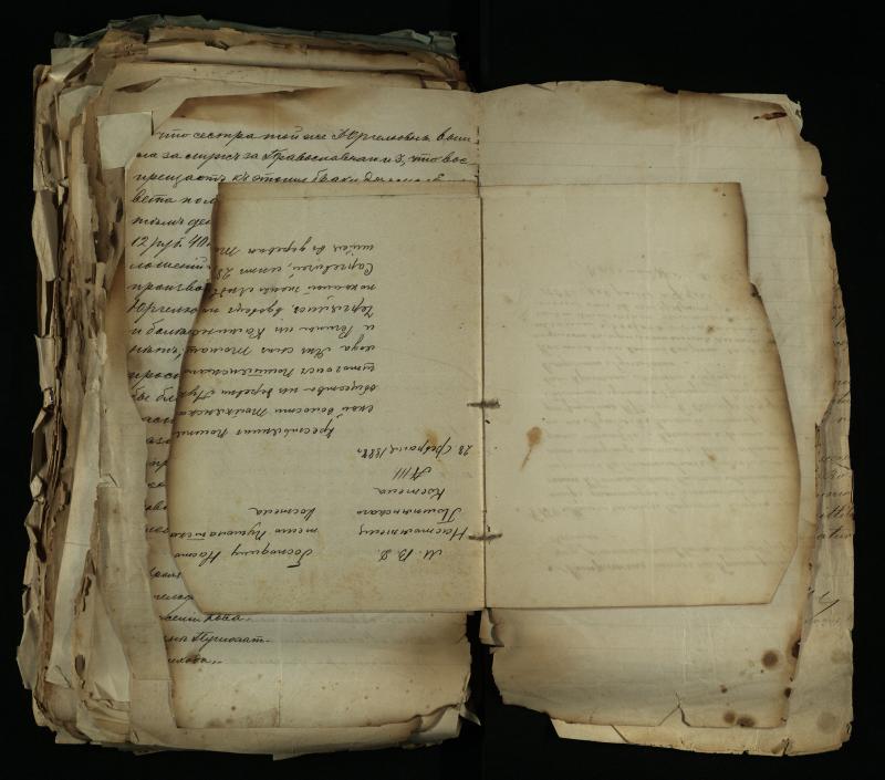 Pušaloto Romos katalikų parapijos bažnyčios 1884–1900 metų gaunamų raštų knyga