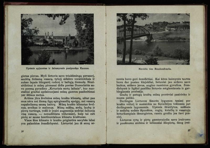 Naujoji Lietuva