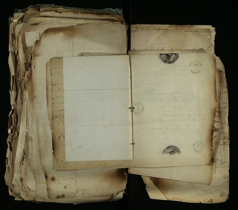 Pušaloto Romos katalikų parapijos bažnyčios 1884–1900 metų gaunamų raštų knyga