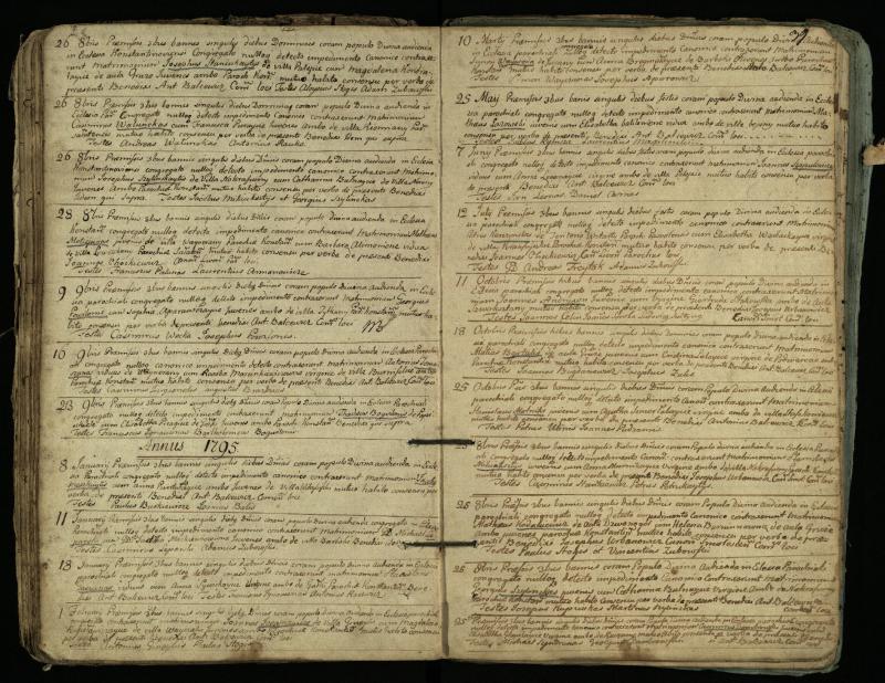 Vaškų (Konstantinavo) Romos katalikų parapijos bažnyčios 1766–1804 metų jungtuvių metrikų knyga