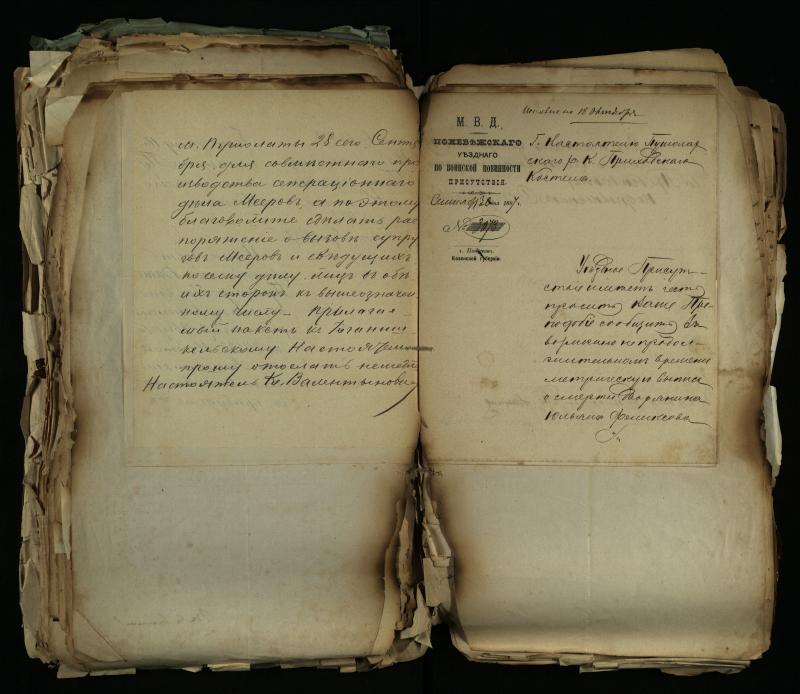 Pušaloto Romos katalikų parapijos bažnyčios 1884–1900 metų gaunamų raštų knyga