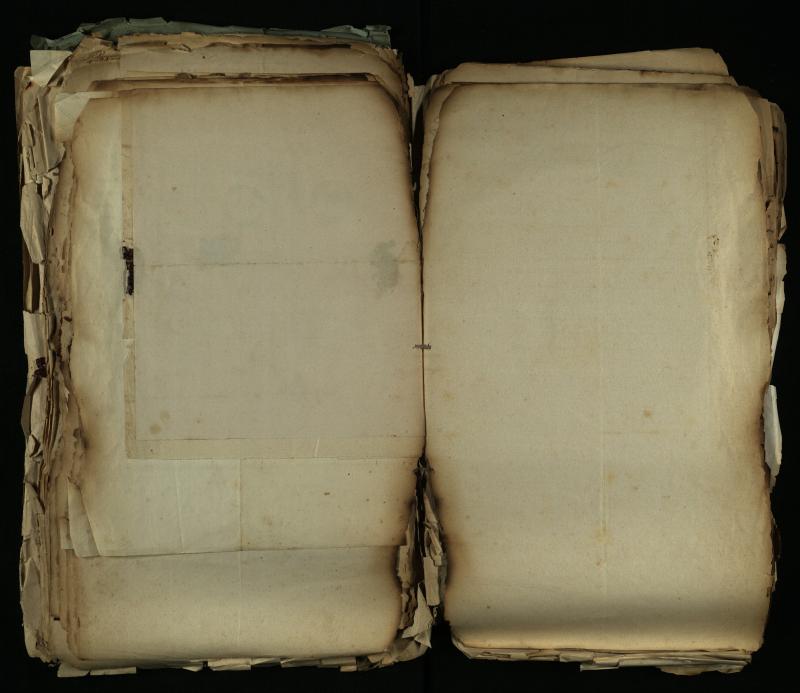 Pušaloto Romos katalikų parapijos bažnyčios 1884–1900 metų gaunamų raštų knyga