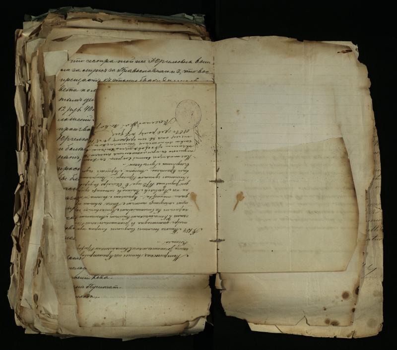 Pušaloto Romos katalikų parapijos bažnyčios 1884–1900 metų gaunamų raštų knyga