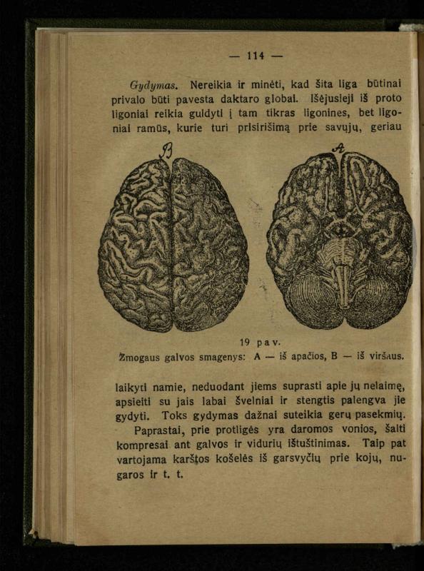 Naminis gydytojas: trumpas paprasčiausių ligų aprašymas ir jų gydymas / d-ras A. Vileišis. – 2-asis patais. leid. – Kaunas: „Švyturio“ b-vės leidinys, 1924. – 143 p.