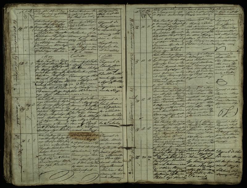 Pušaloto Romos katalikų parapijos bažnyčios 1828–1834 metų krikšto metrikų knyga