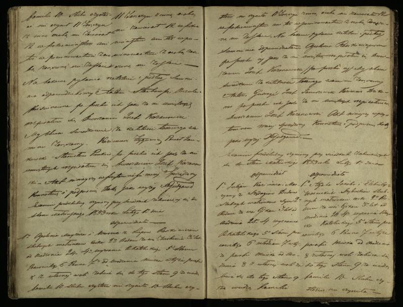 Pušaloto Romos katalikų parapijos bažnyčios 1847–1855 metų priešjungtuvinės apklausos knyga