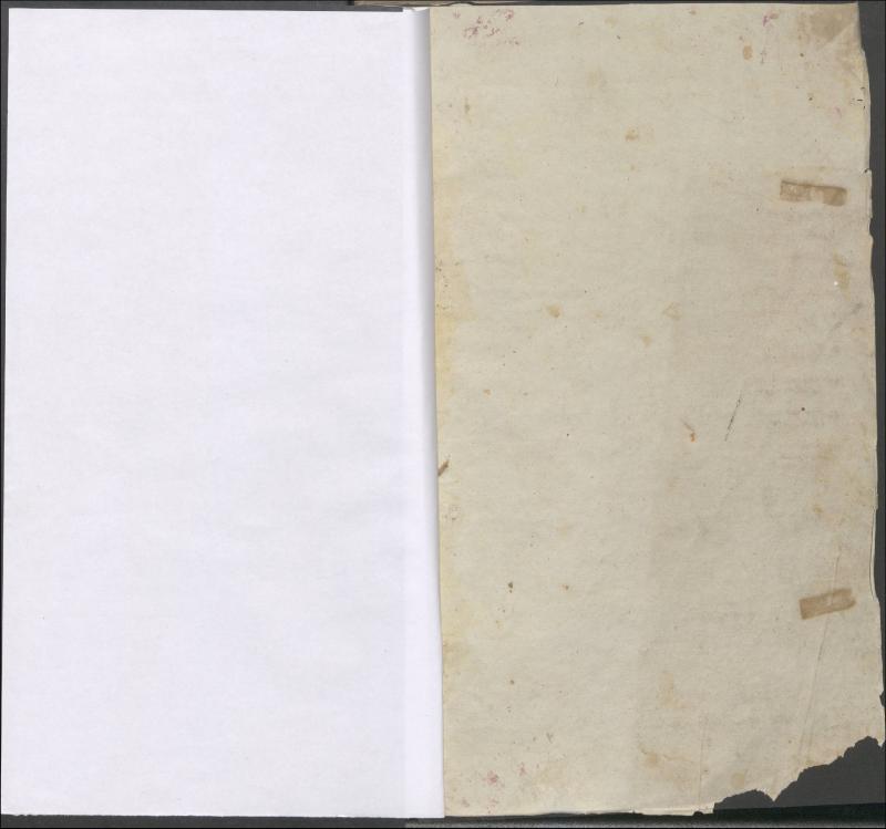 Krinčino Romos katalikų parapijos bažnyčios 1837–1839 metų priešjungtuvinės apklausos knyga