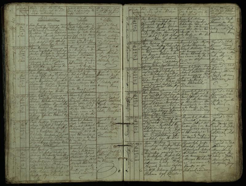 Pušaloto Romos katalikų parapijos bažnyčios 1828–1834 metų krikšto metrikų knyga