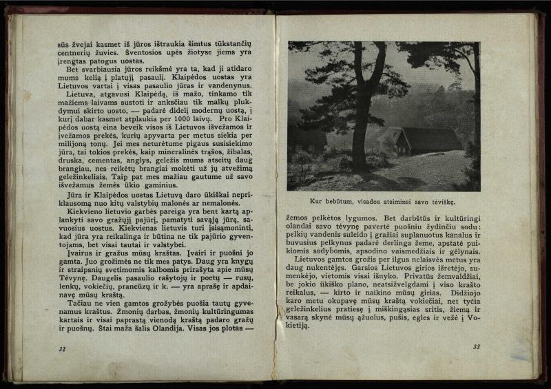 Naujoji Lietuva