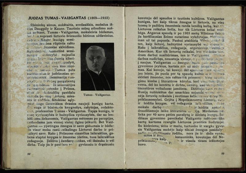 Naujoji Lietuva