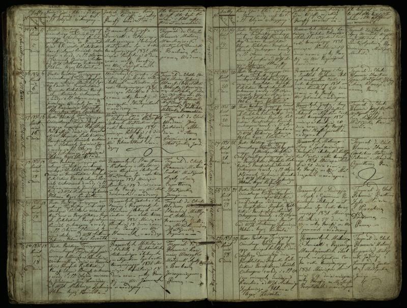 Pušaloto Romos katalikų parapijos bažnyčios 1828–1834 metų krikšto metrikų knyga