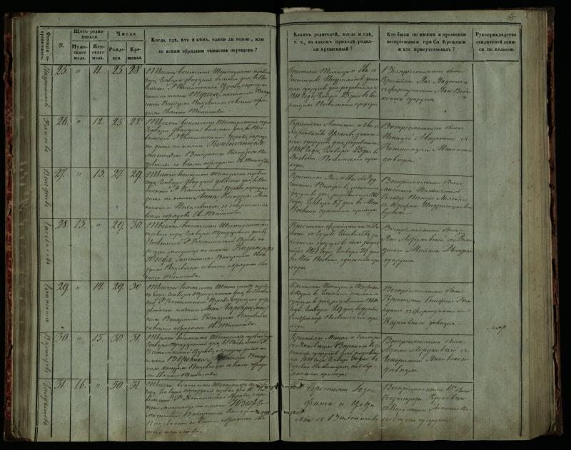 Pasvalio Romos katalikų parapijos bažnyčios 1859–1864 metų krikšto metrikų knyga