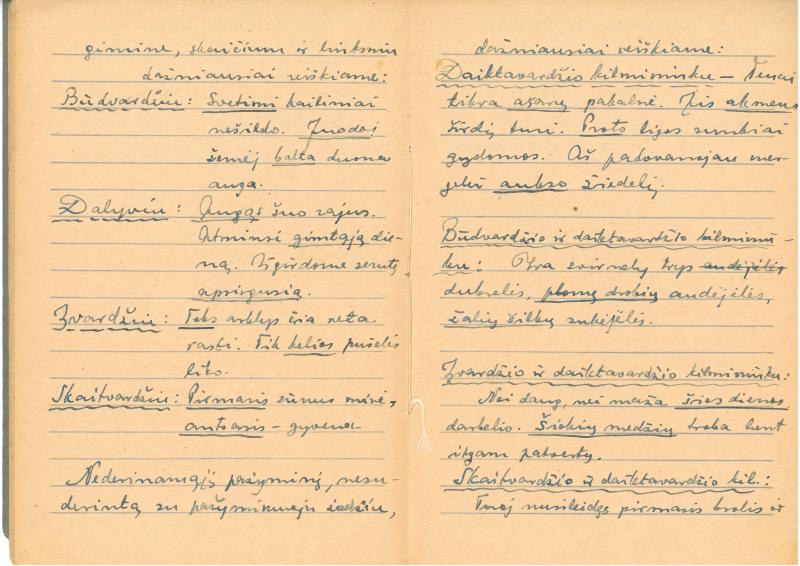 Rašytojo, savaitraščio „Tėviškės Žiburiai“ redaktoriaus Česlovo Senkevičiaus konspektai „Lietuvių kalbos sintaksė“