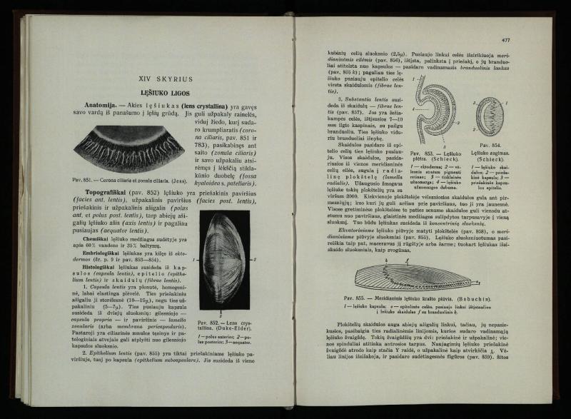Akių ligų vadovas / Petras Avižonis. – Kaunas: Medicinos fakultetao leidinys, 1940. – VIII, 841, [2] p., 18 iliustr. lap.