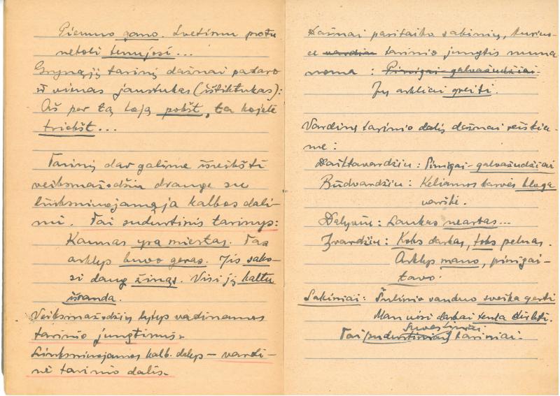 Rašytojo, savaitraščio „Tėviškės Žiburiai“ redaktoriaus Česlovo Senkevičiaus konspektai „Lietuvių kalbos sintaksė“