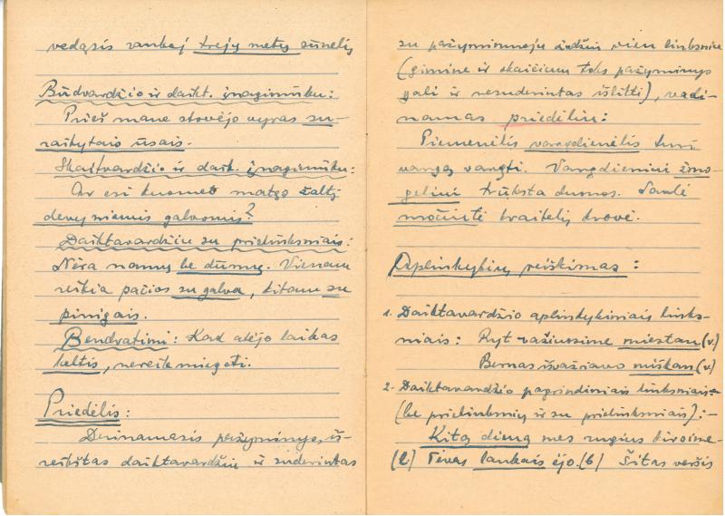 Rašytojo, savaitraščio „Tėviškės Žiburiai“ redaktoriaus Česlovo Senkevičiaus konspektai „Lietuvių kalbos sintaksė“