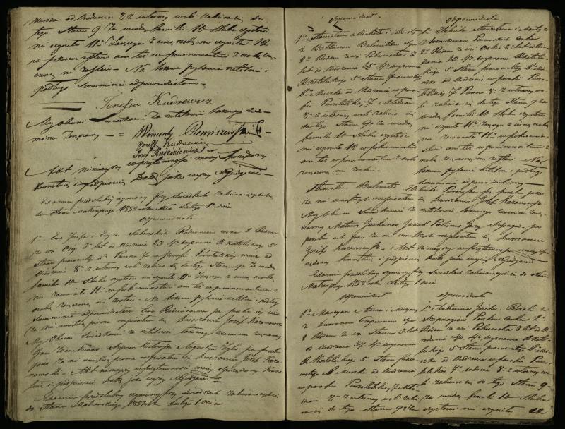 Pušaloto Romos katalikų parapijos bažnyčios 1847–1855 metų priešjungtuvinės apklausos knyga
