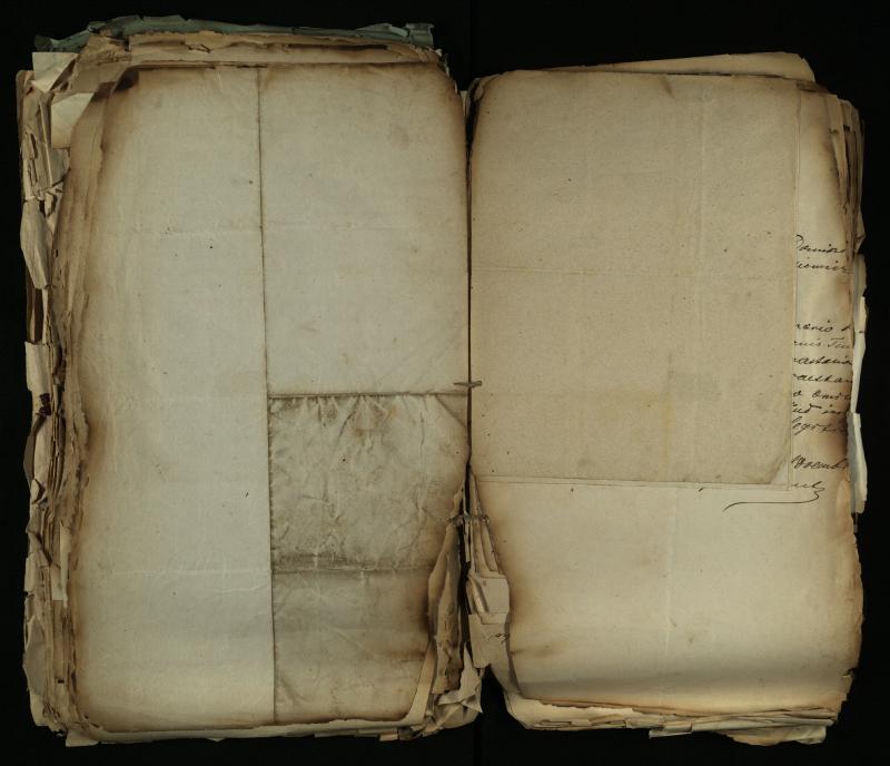 Pušaloto Romos katalikų parapijos bažnyčios 1884–1900 metų gaunamų raštų knyga