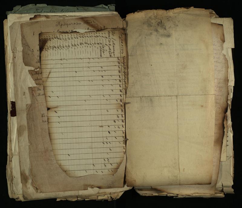 Pušaloto Romos katalikų parapijos bažnyčios 1884–1900 metų gaunamų raštų knyga