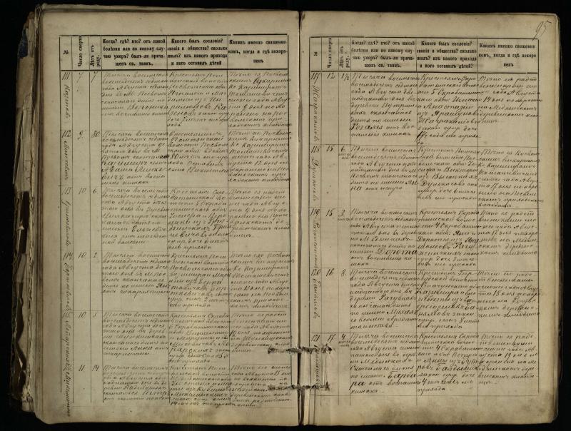 Pasvalio Romos katalikų parapijos bažnyčios 1881–1893 metų mirties metrikų knyga