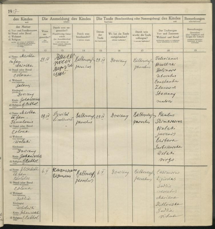 Daujėnų Romos katalikų parapijos bažnyčios 1917–1918 metų krikšto metrikų knyga