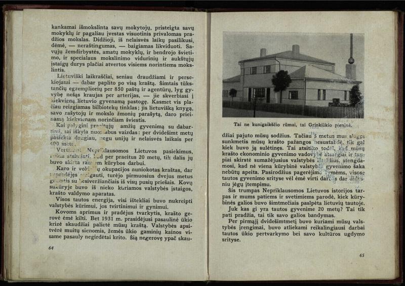 Naujoji Lietuva
