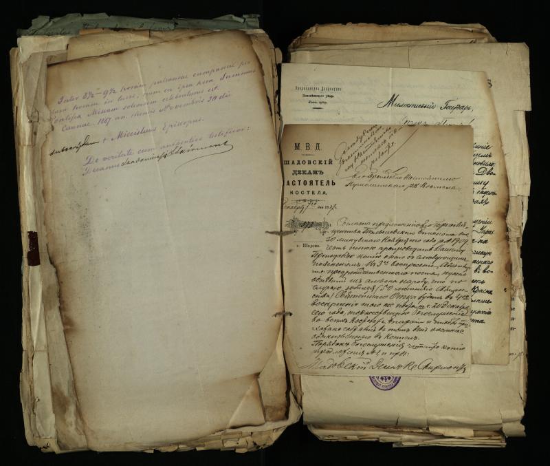 Pušaloto Romos katalikų parapijos bažnyčios 1884–1900 metų gaunamų raštų knyga