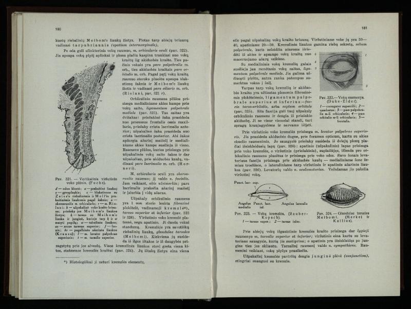 Akių ligų vadovas / Petras Avižonis. – Kaunas: Medicinos fakultetao leidinys, 1940. – VIII, 841, [2] p., 18 iliustr. lap.
