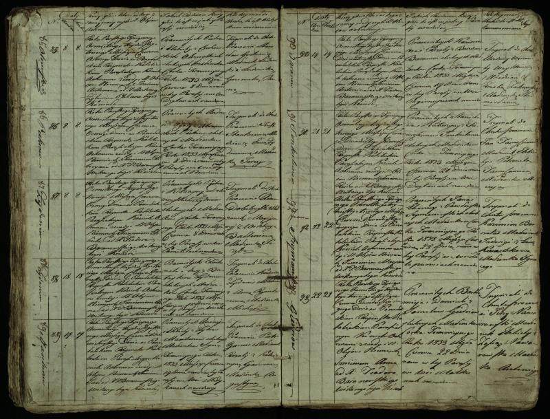 Pušaloto Romos katalikų parapijos bažnyčios 1828–1834 metų krikšto metrikų knyga