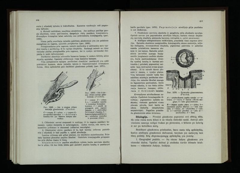 Akių ligų vadovas / Petras Avižonis. – Kaunas: Medicinos fakultetao leidinys, 1940. – VIII, 841, [2] p., 18 iliustr. lap.