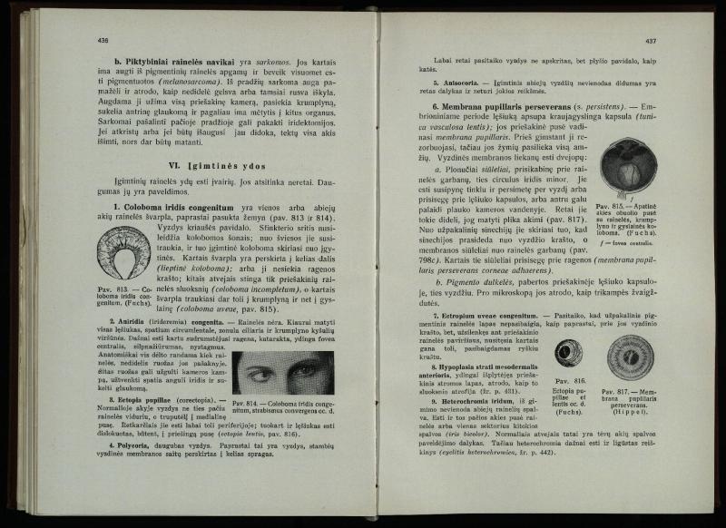 Akių ligų vadovas / Petras Avižonis. – Kaunas: Medicinos fakultetao leidinys, 1940. – VIII, 841, [2] p., 18 iliustr. lap.