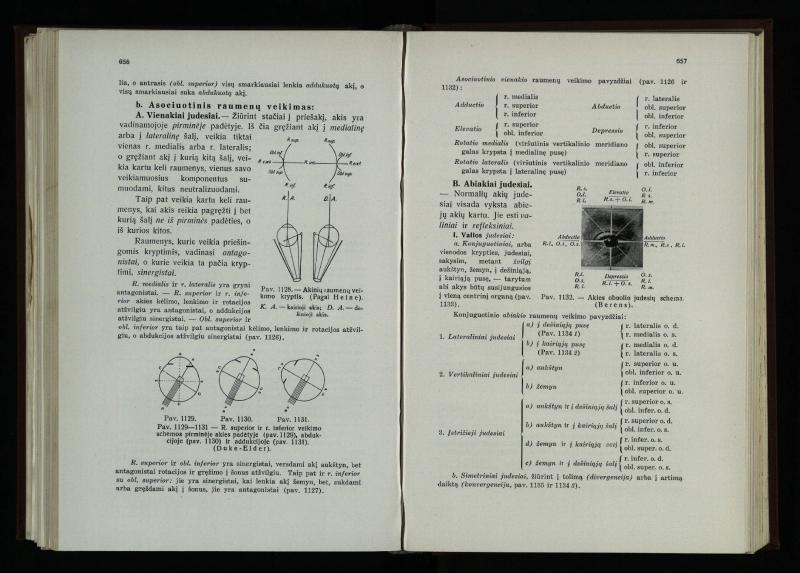 Akių ligų vadovas / Petras Avižonis. – Kaunas: Medicinos fakultetao leidinys, 1940. – VIII, 841, [2] p., 18 iliustr. lap.