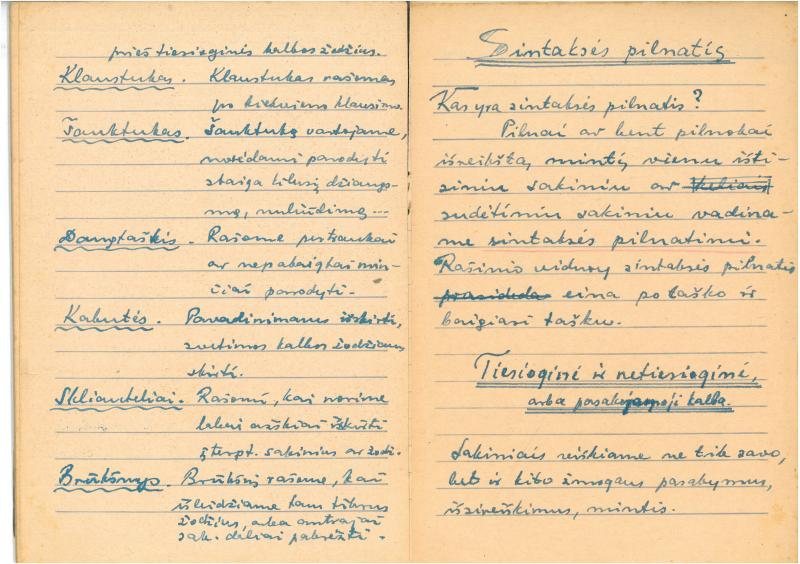 Rašytojo, savaitraščio „Tėviškės Žiburiai“ redaktoriaus Česlovo Senkevičiaus konspektai „Lietuvių kalbos sintaksė“