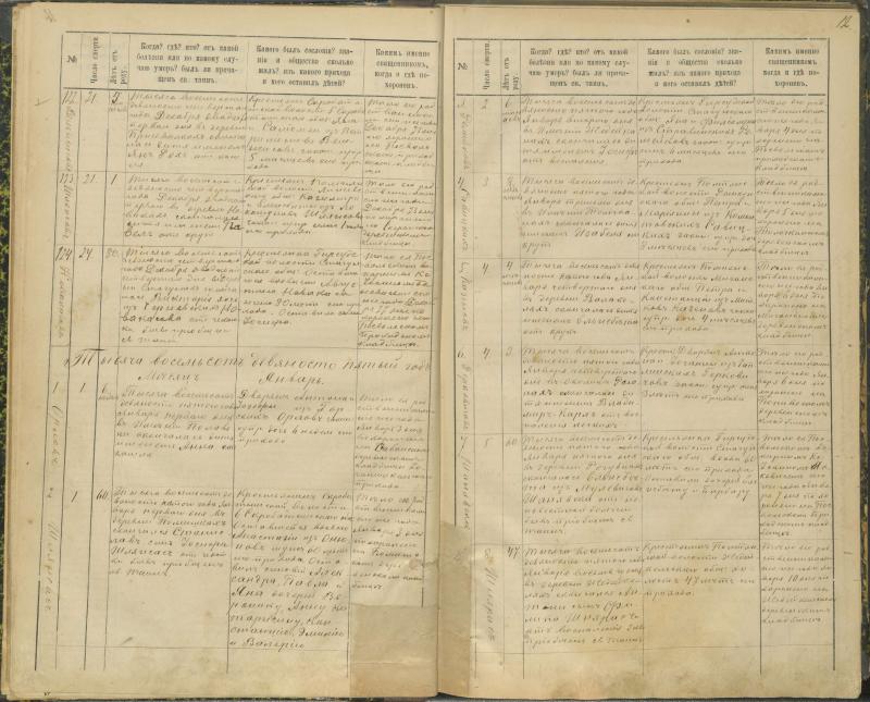 Pasvalio Romos katalikų parapijos bažnyčios 1894–1907 metų mirties metrikų knyga