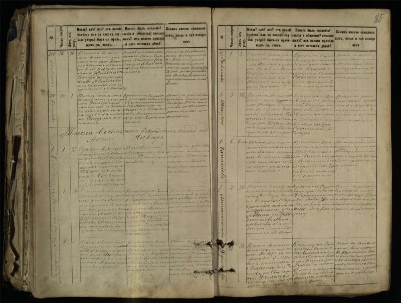 Pasvalio Romos katalikų parapijos bažnyčios 1881–1893 metų mirties metrikų knyga